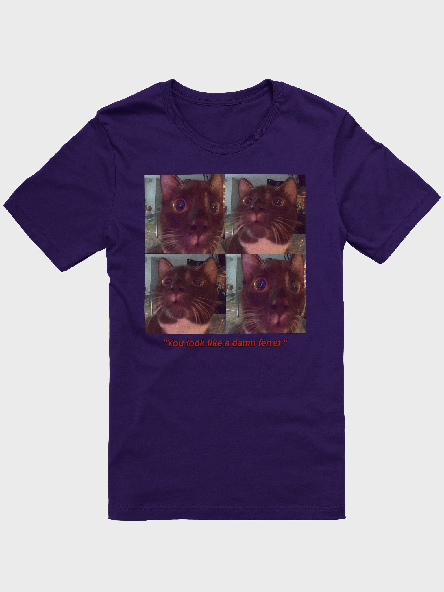 You Look Like a Damn Ferret Ladies Style Shirt product image (10)