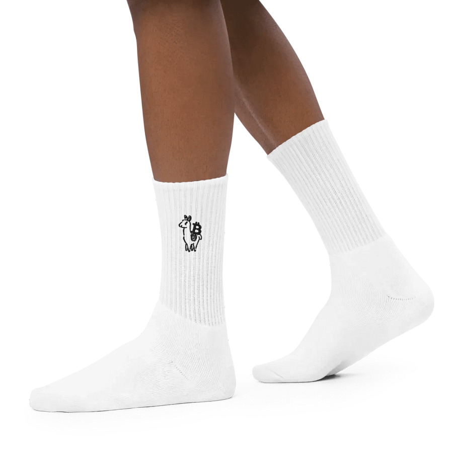 Alpaca Bitcoin Socks product image (7)