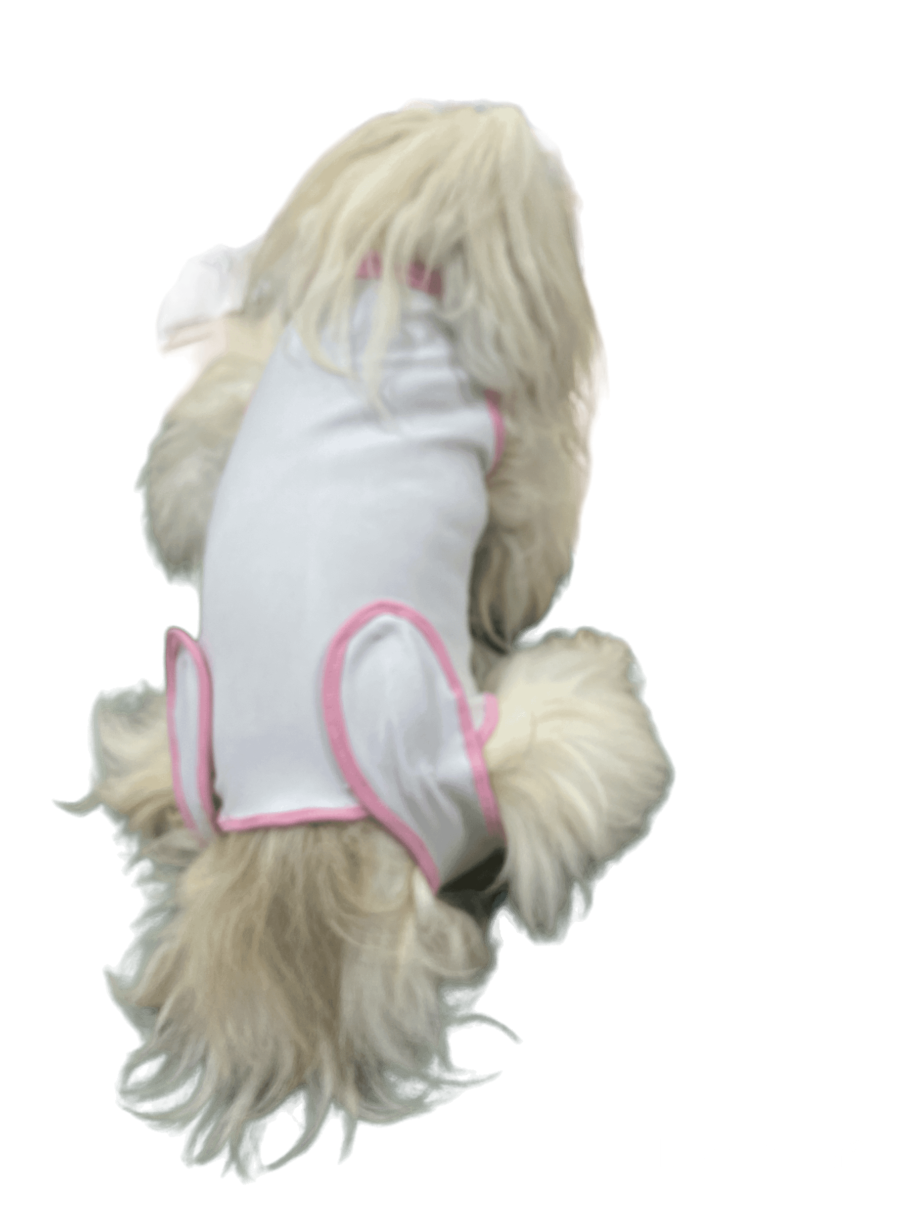 Roupa Cirúrgica Bory - Modelagem Pet PDF product image (3)