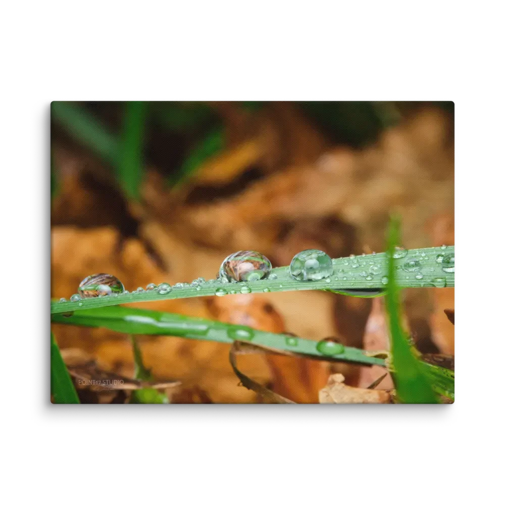 Crystal Balls #3 - Print On Canvas product image (1)