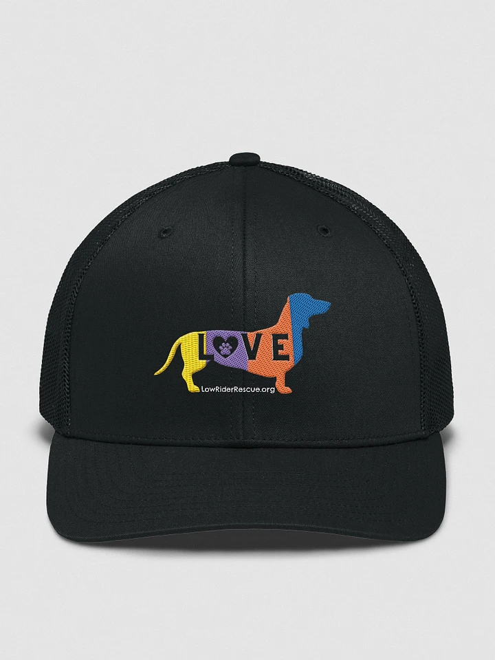 LOVE Dachshunds - colorful design trucker hat product image (2)