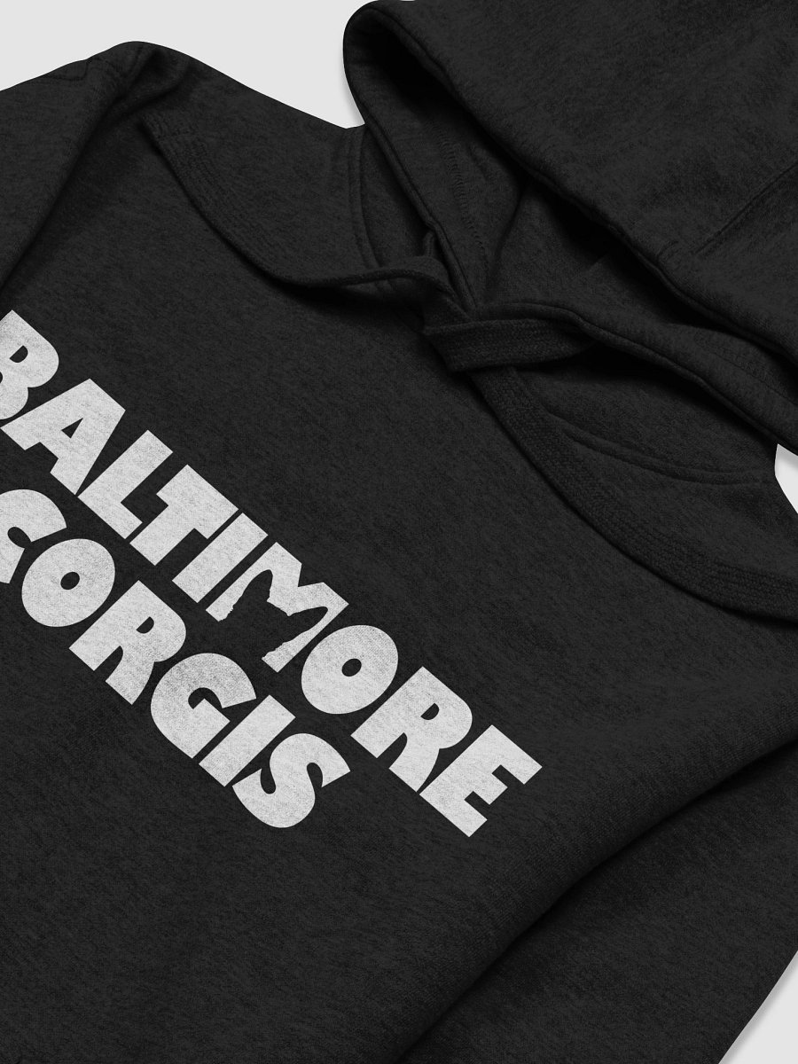 Baltimore Corgis (White) Hoodie product image (22)