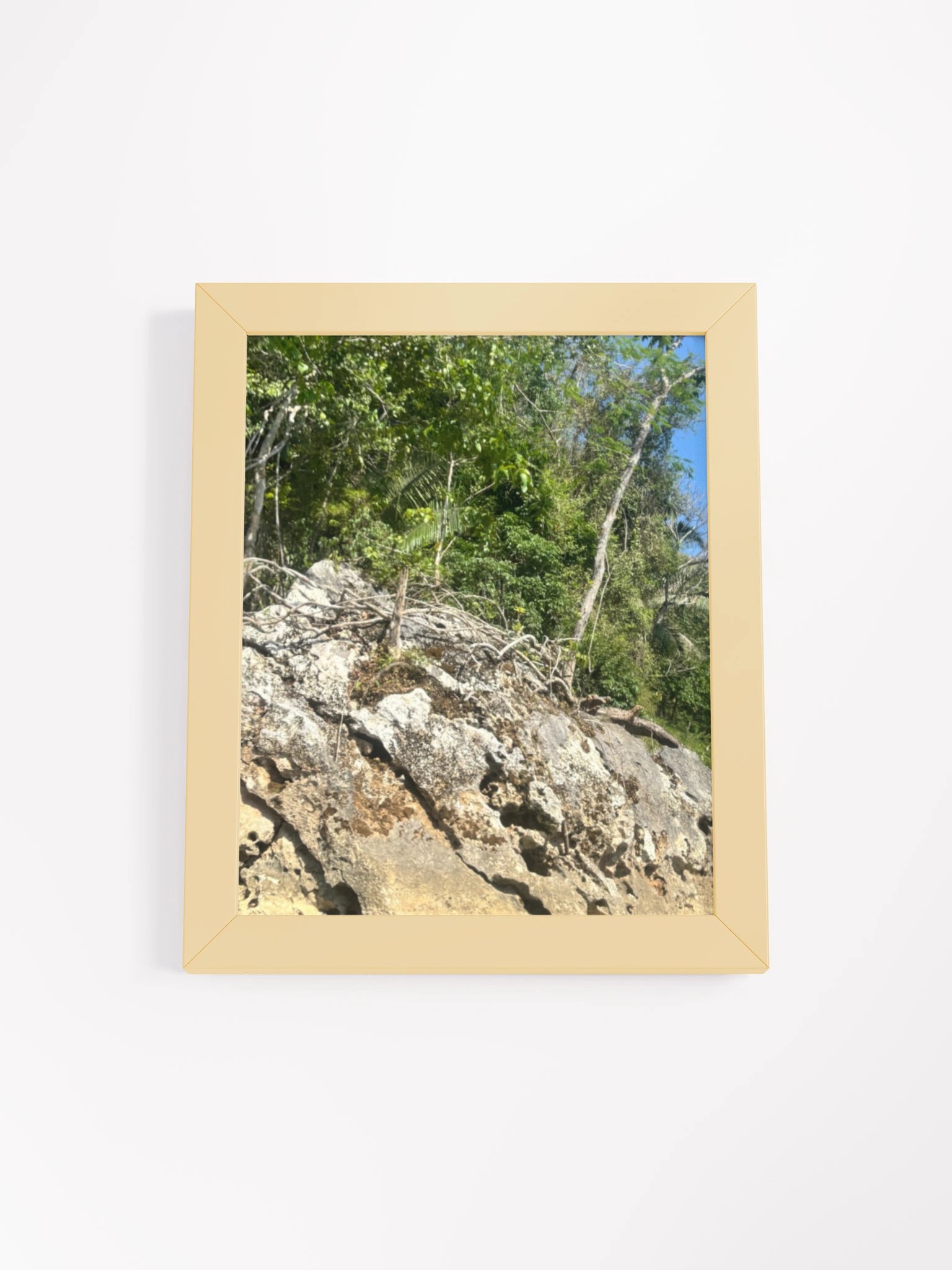 Vibrant Ayous Wood Framed Matte Poster product image (2)
