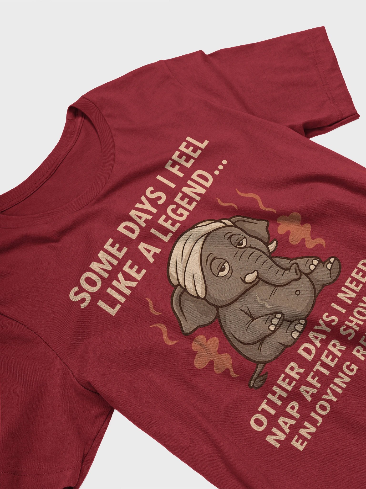 Funny Retired Elephant T-Shirt – "Some Days I Feel Like a Legend" product image (7)