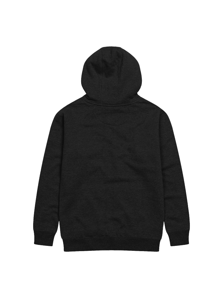 SKEPTO Hoodie product image (15)
