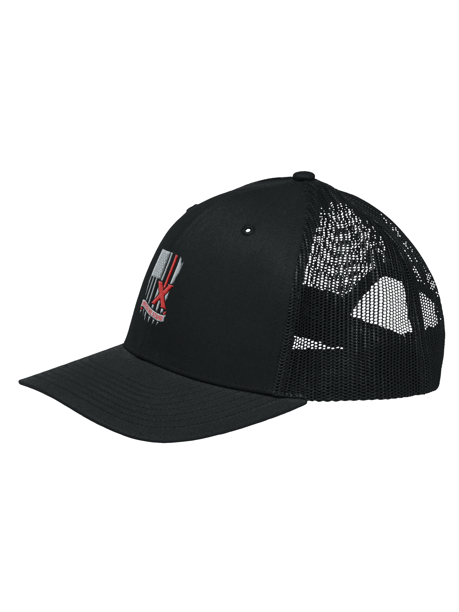 United We Stand Style 1 product image (2)