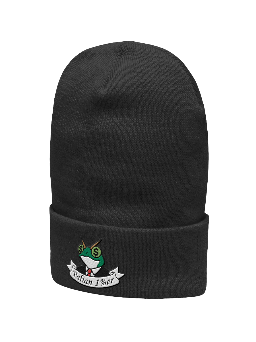 FROGMONEY2025 Palian 1%er Beanie product image (3)
