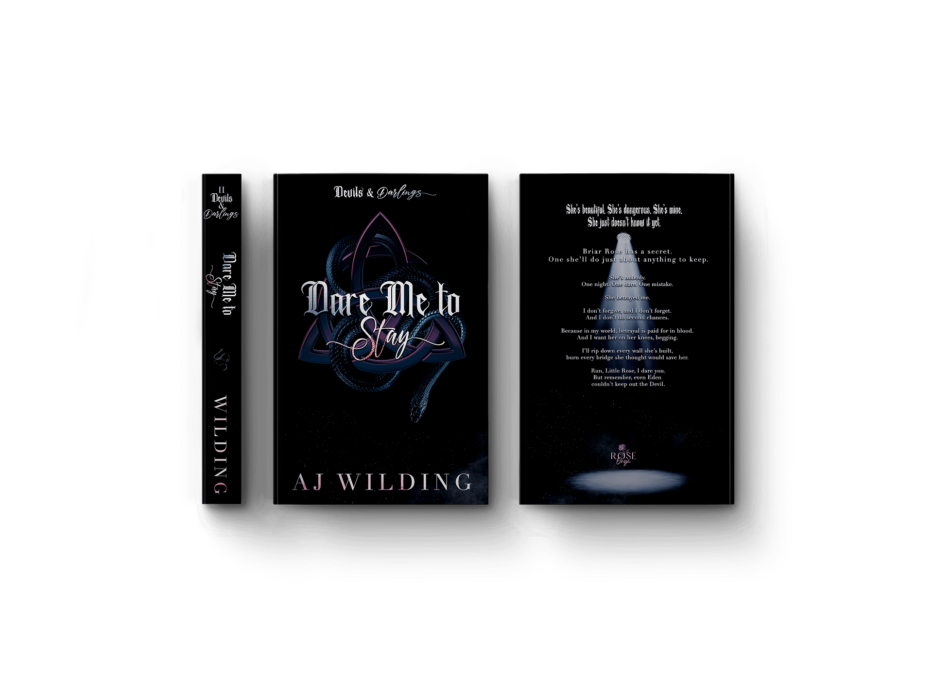 *Pre-Order* Dare Me to Stay- Signed paperback discreet edition product image (5)