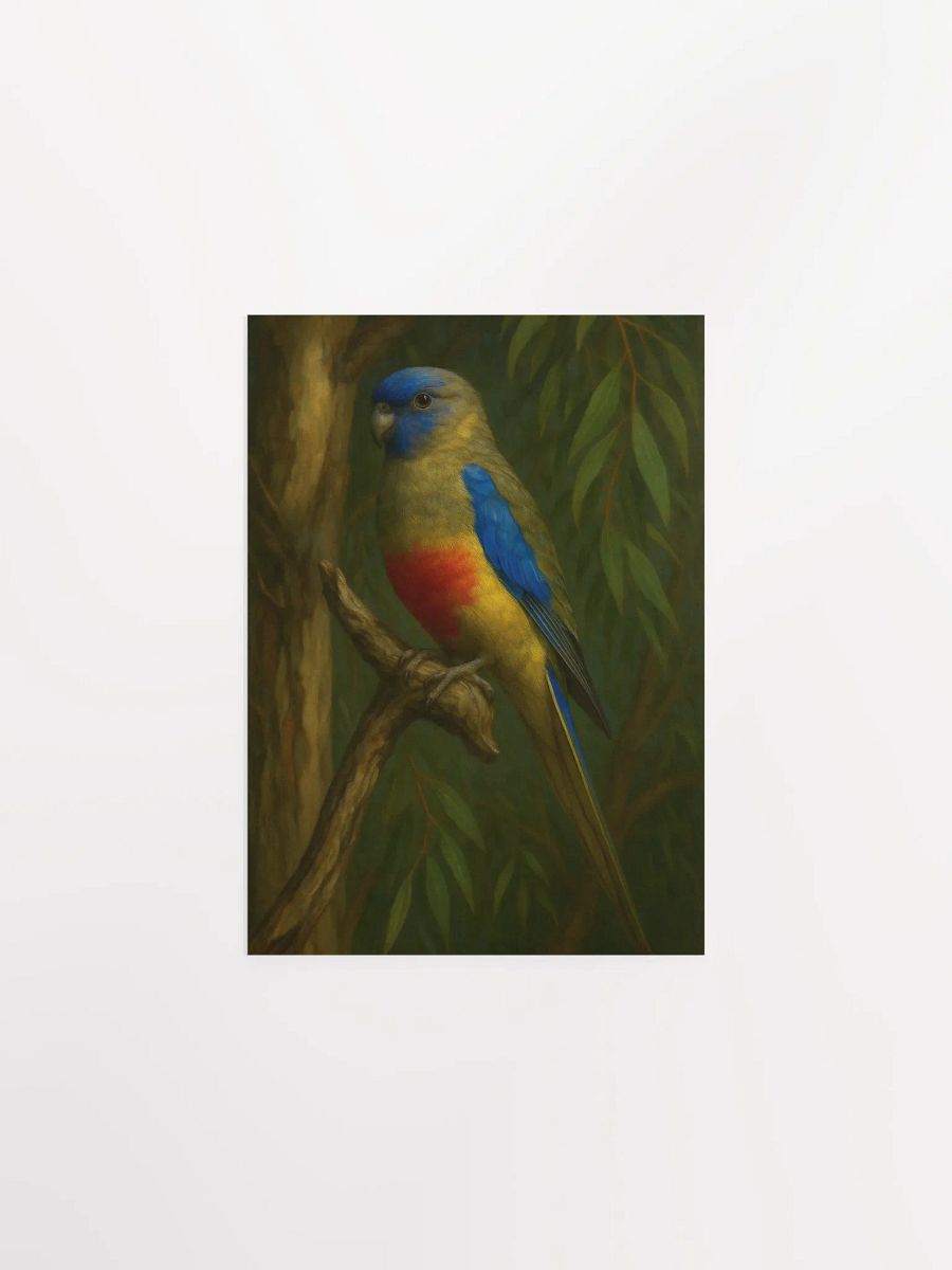Blue Bonnet Parrot. product image (3)