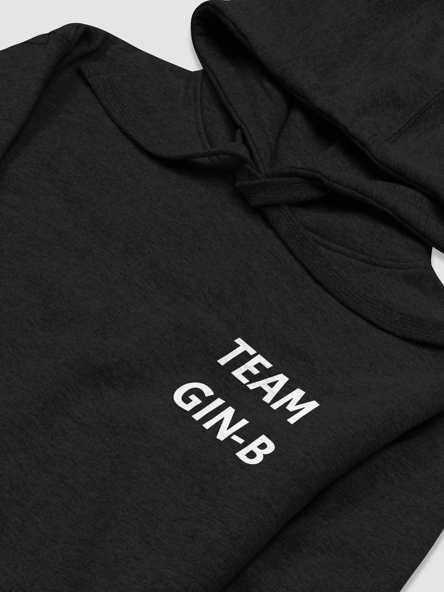 Team GIN-B | Hoodie product image (3)