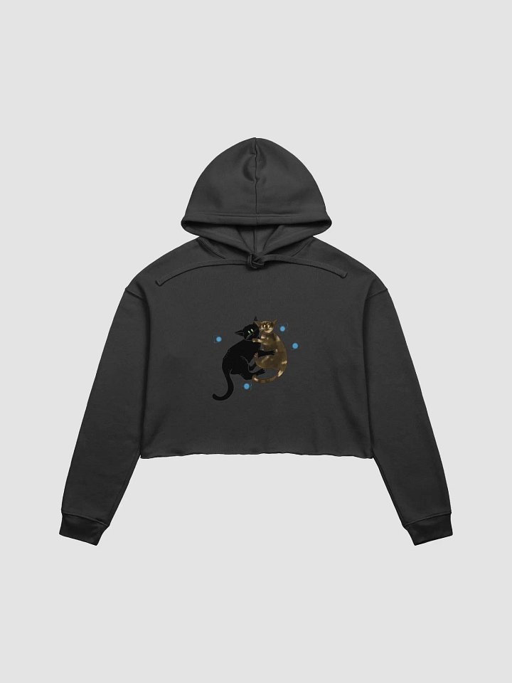 Dual Logo Cropped Hoodie product image (5)