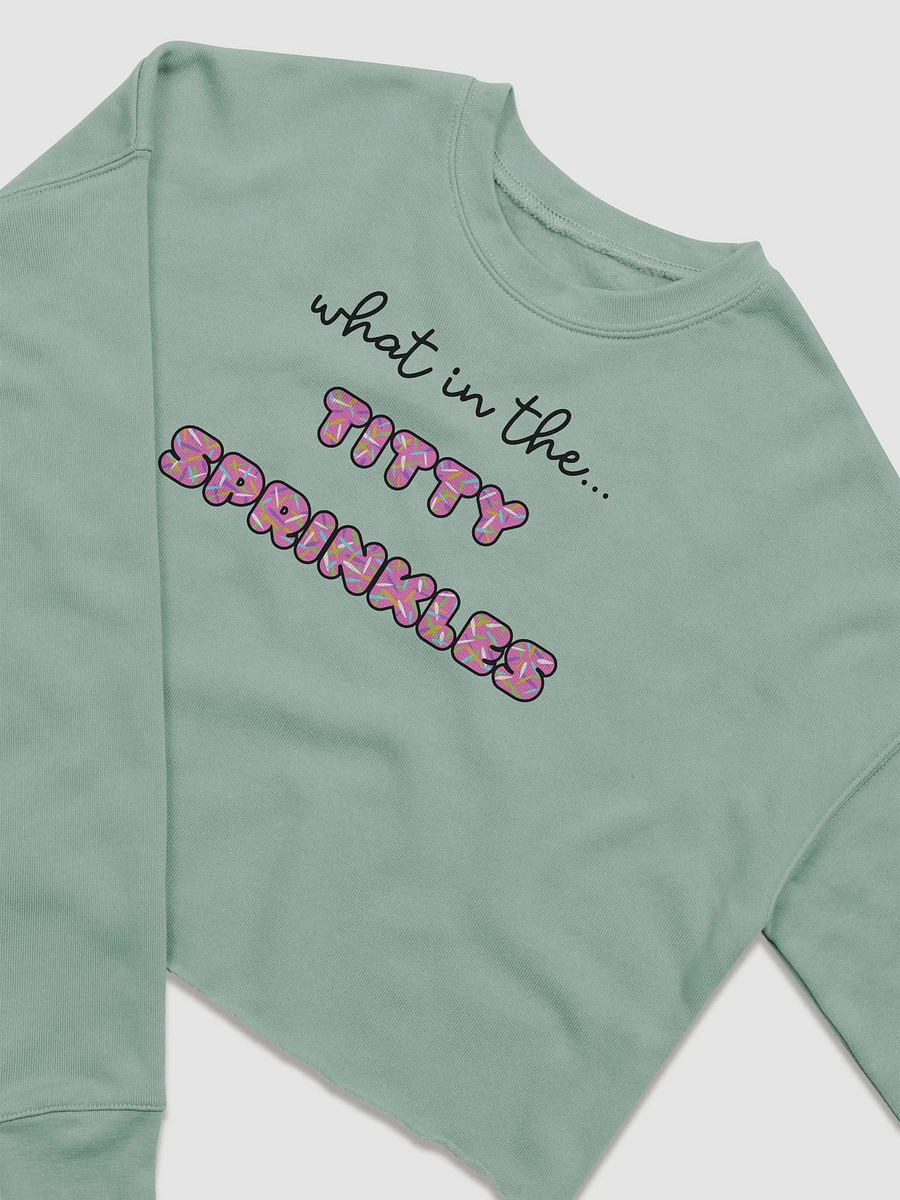TT Sprinkles Cropped Sweatshirt product image (3)