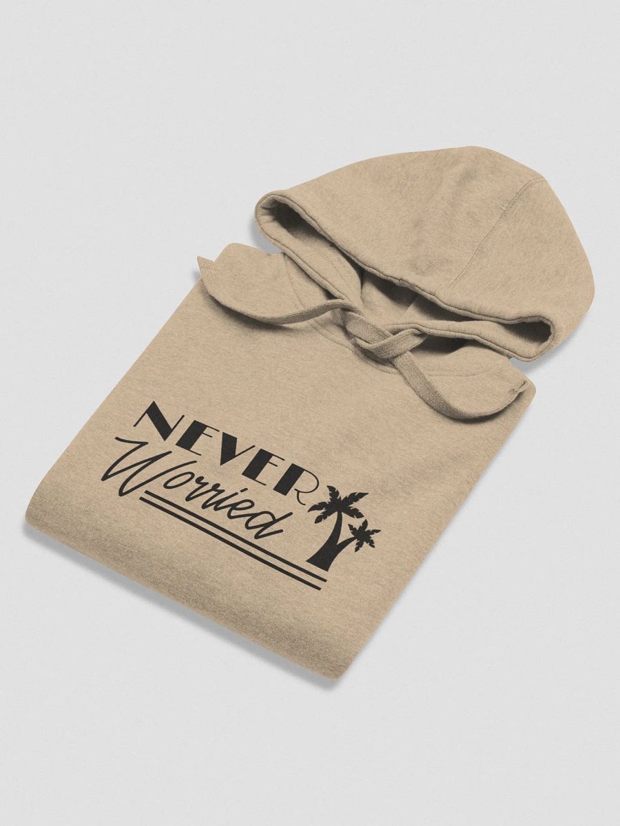 Never Worried Cotton Hoodie product image (35)
