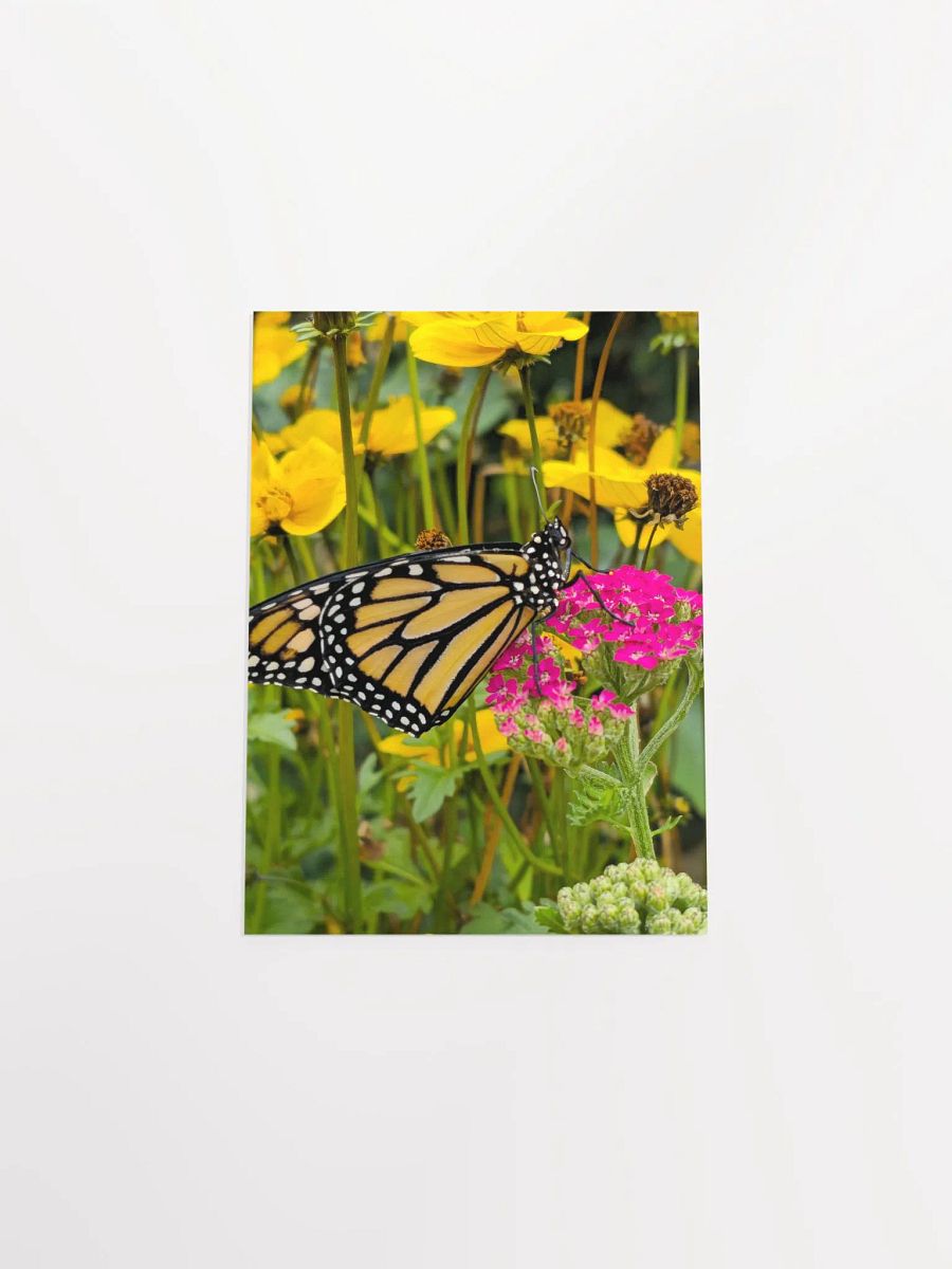 Tropical Monarch Butterfly Matte Poster 5x7" product image (4)