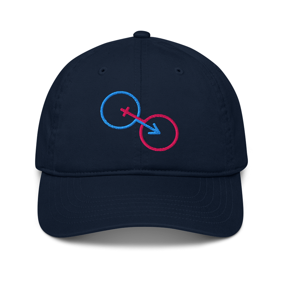 Organic Traditional Gender Connection Dad Hat product image (1)