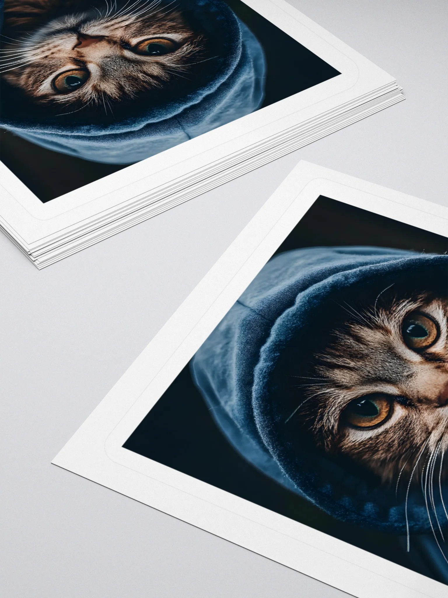 Hacker Cat product image (11)