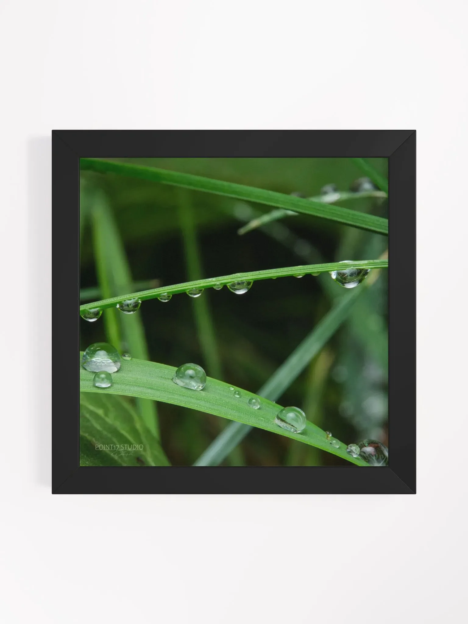 Dew Gems #9 - Framed Print product image (1)