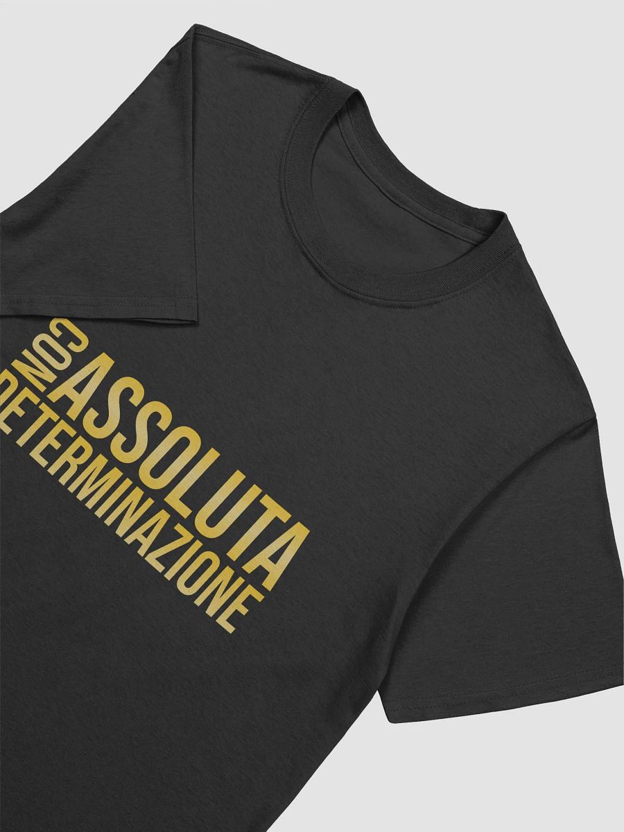 Con assoluta determinazione product image (2)