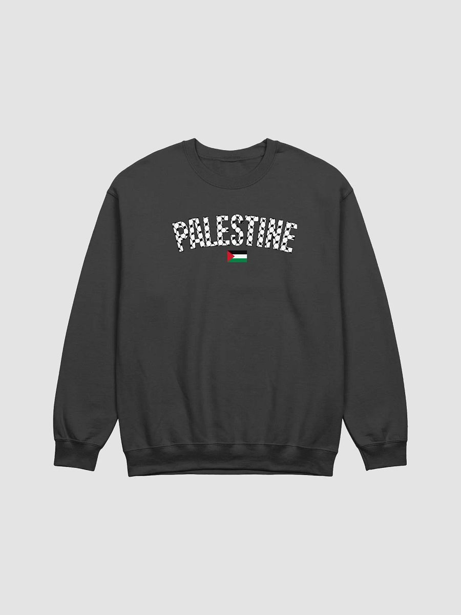 Palestine Sweater-Printed product image (3)