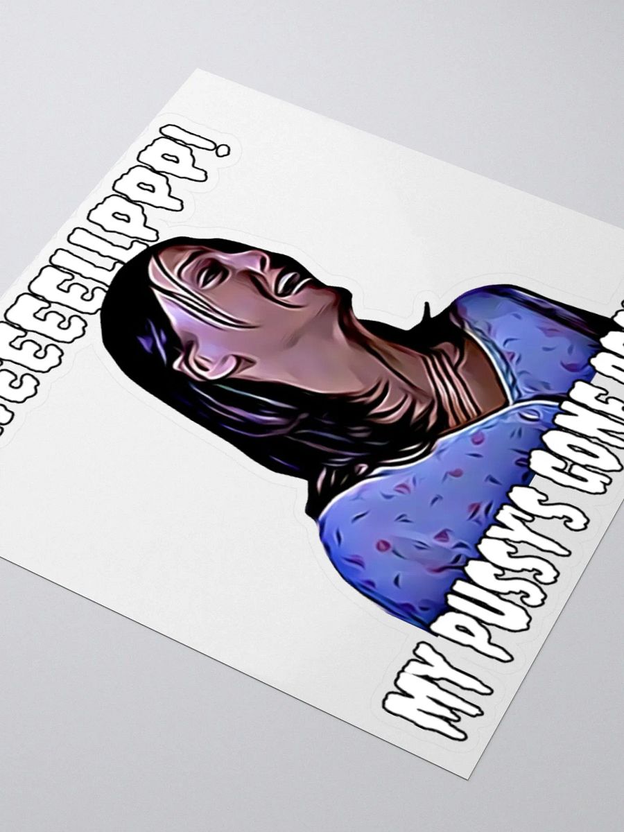 Help! my pussy's gone crazy! Kiss Cut Stickers product image (3)