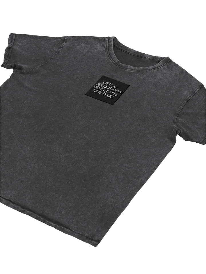 All the Allegations About Me Are True product image (2)