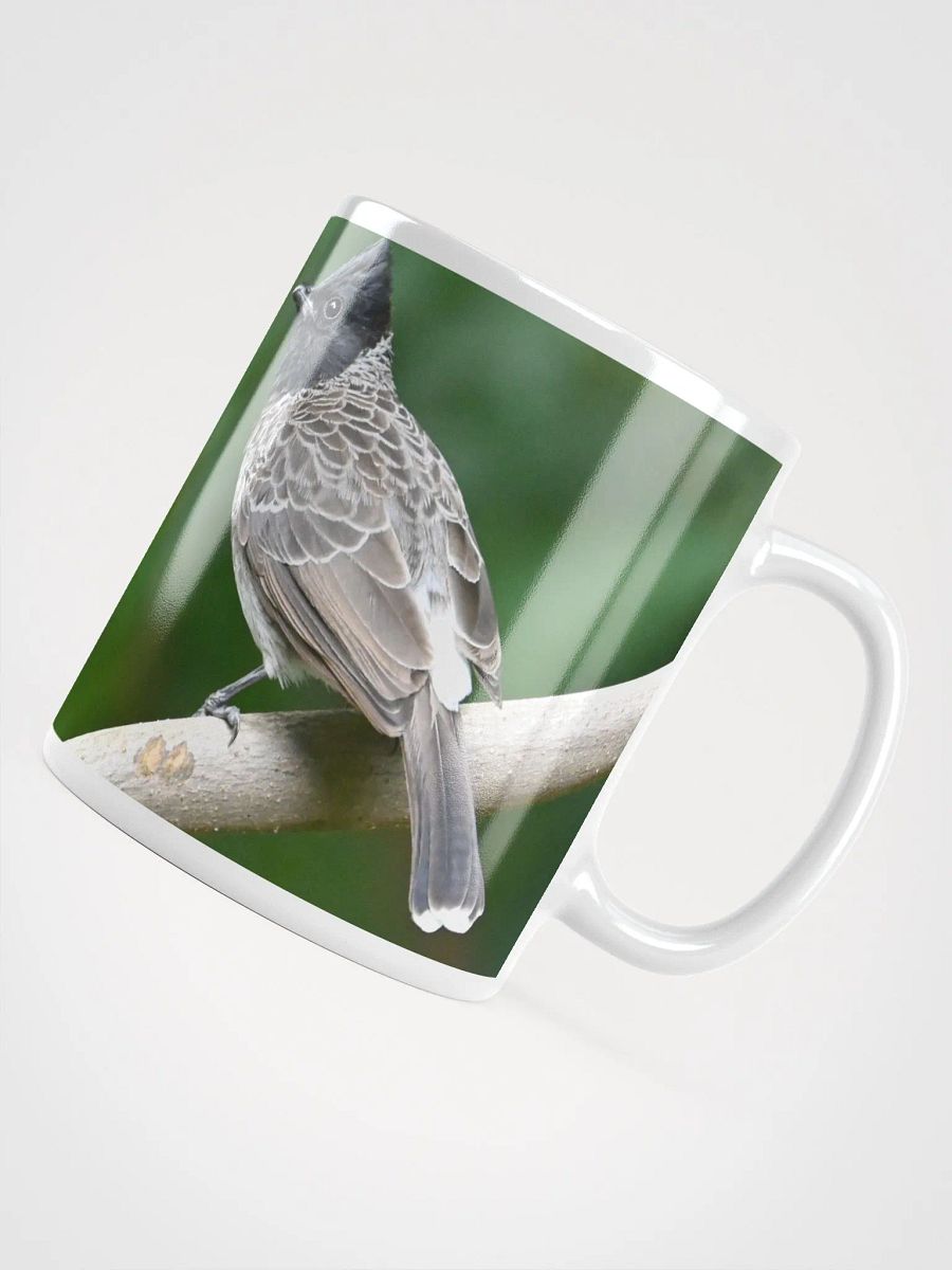 IUCAA Birds MUG product image (4)