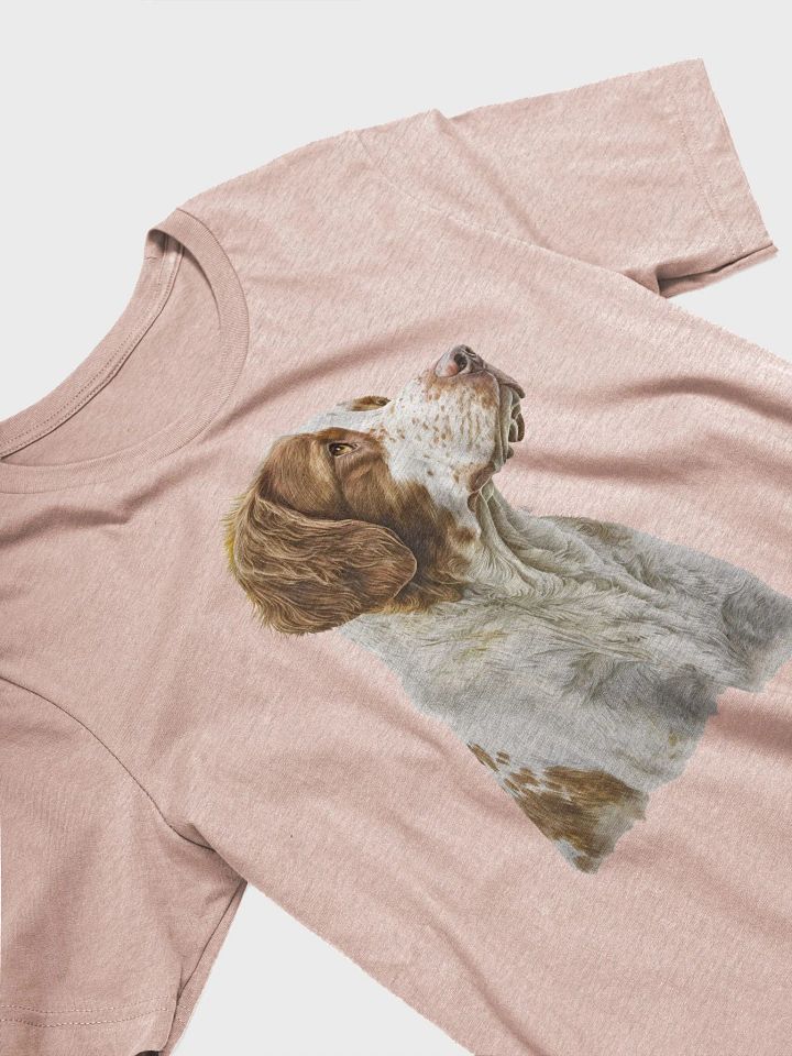 Brittany Spaniel product image (2)