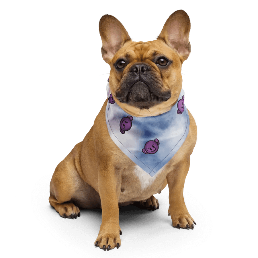Bandana product image (6)