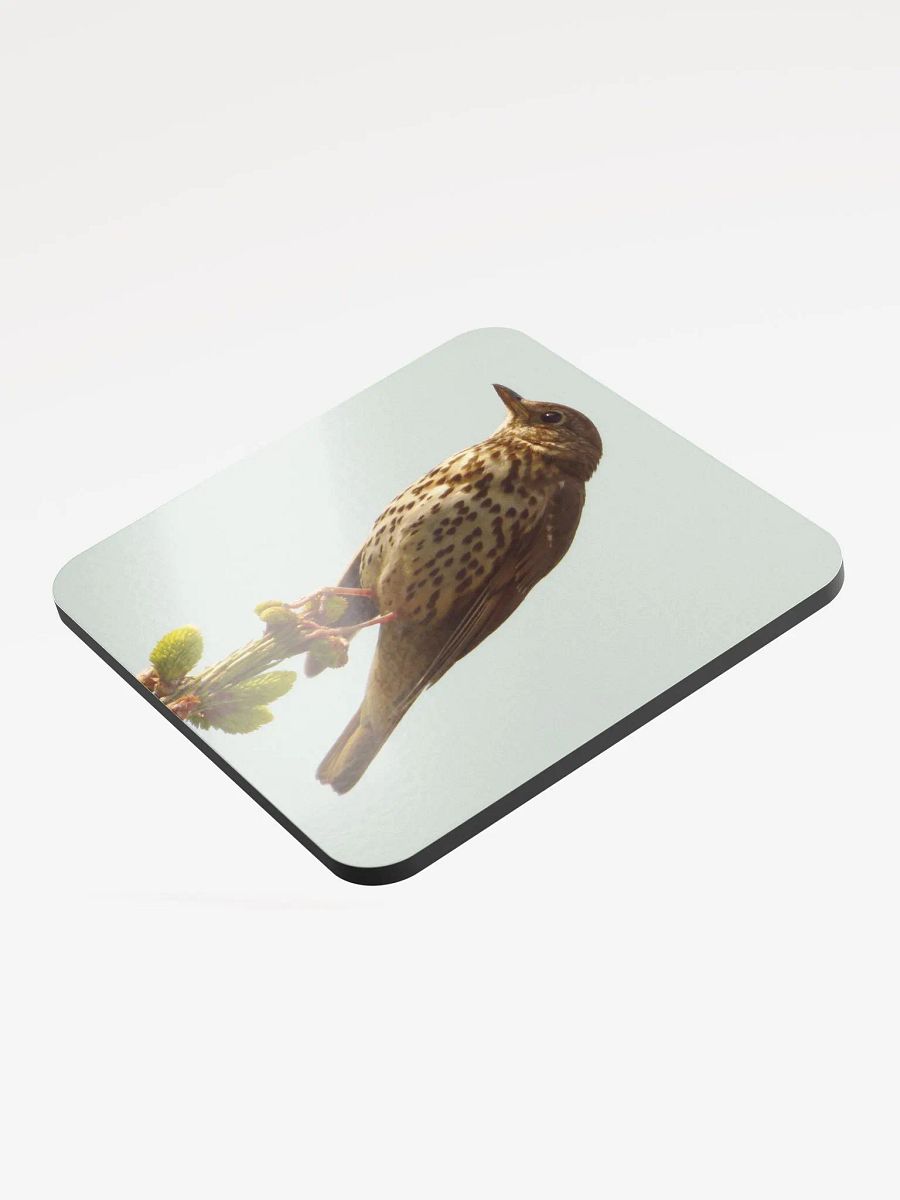 Glossed Cork Coaster - The song thrush product image (3)