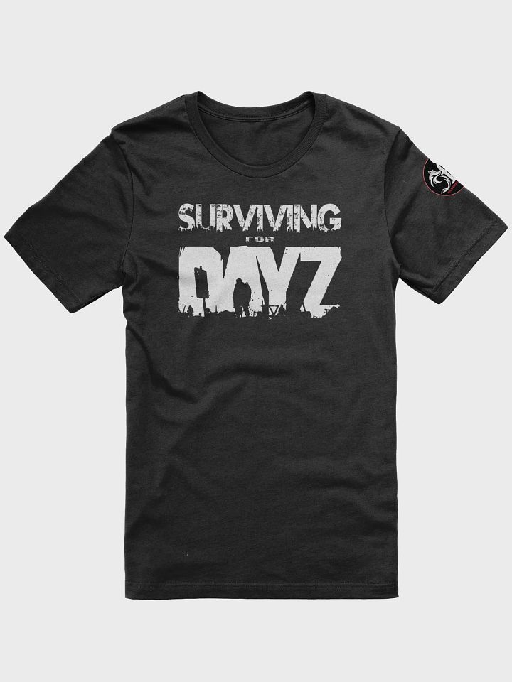 DayZ product image (5)