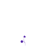 Border3 product image (2)