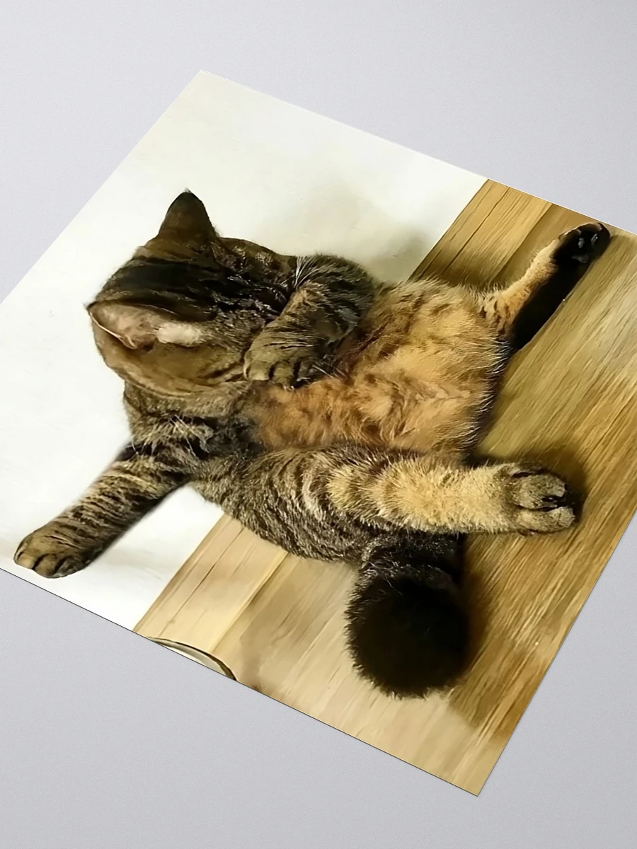 Kiss Cut Stickers: Meme Cats dab product image (3)