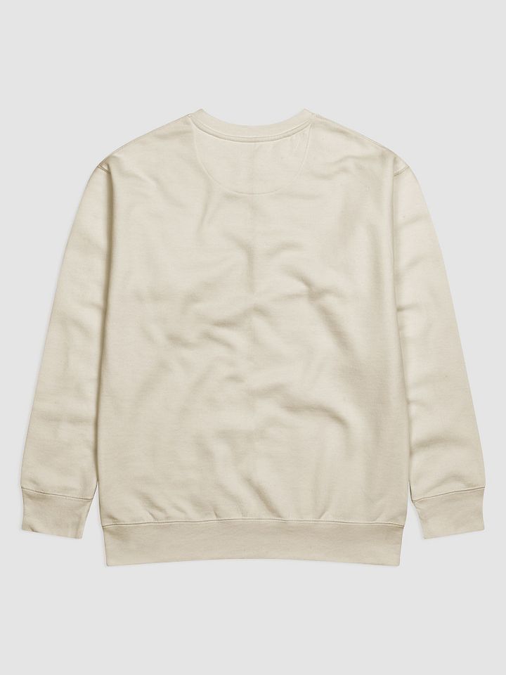 Pray Always Pray Premium Sweatshirt product image (7)