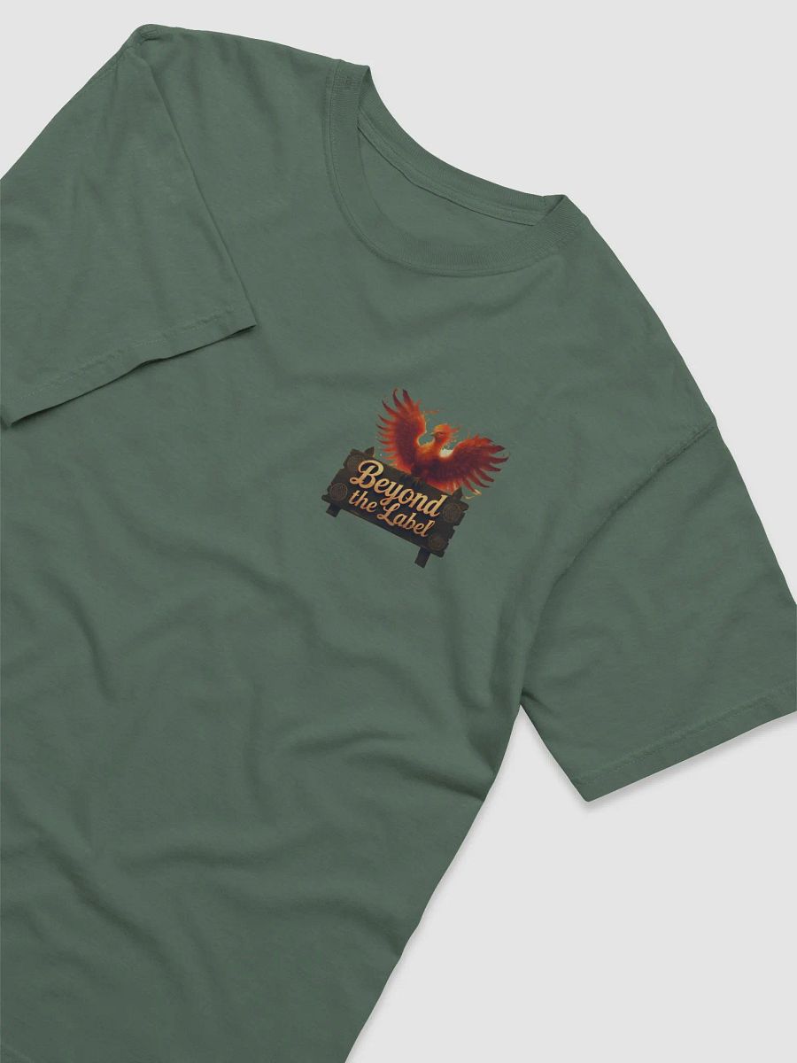 Phoenix Embrace Comfort Tee product image (26)