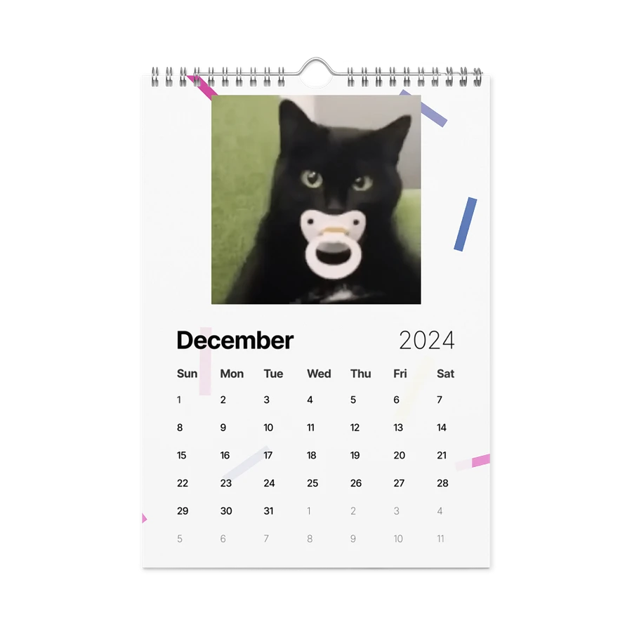 Wall Calendar (2024): Meme Cats product image (6)