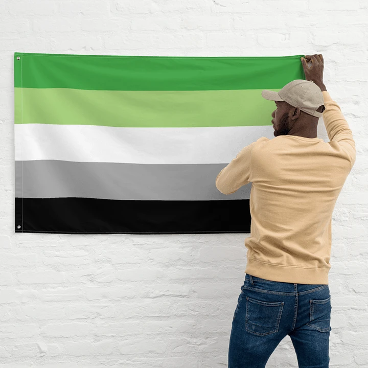 Aromantic Pride Flag product image (2)