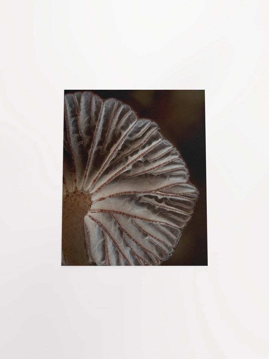 Purple Mycena Print product image (8)