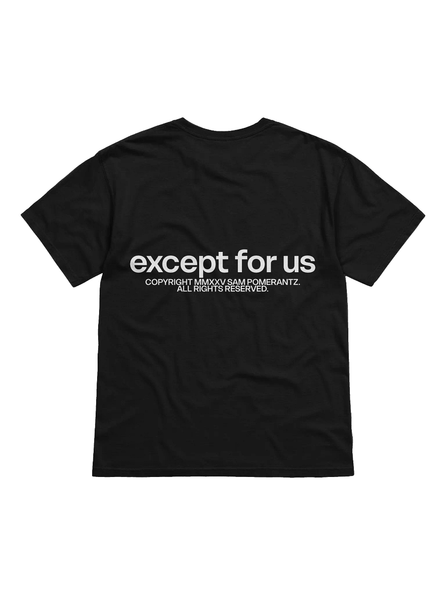 Except For Us Threshold Tee product image (2)