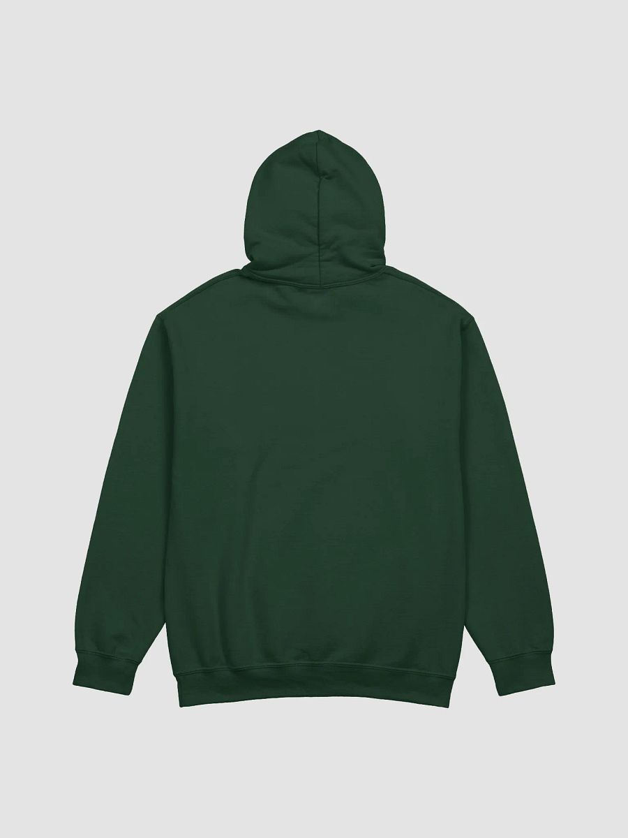 Hummingbirds Hoodie product image (4)
