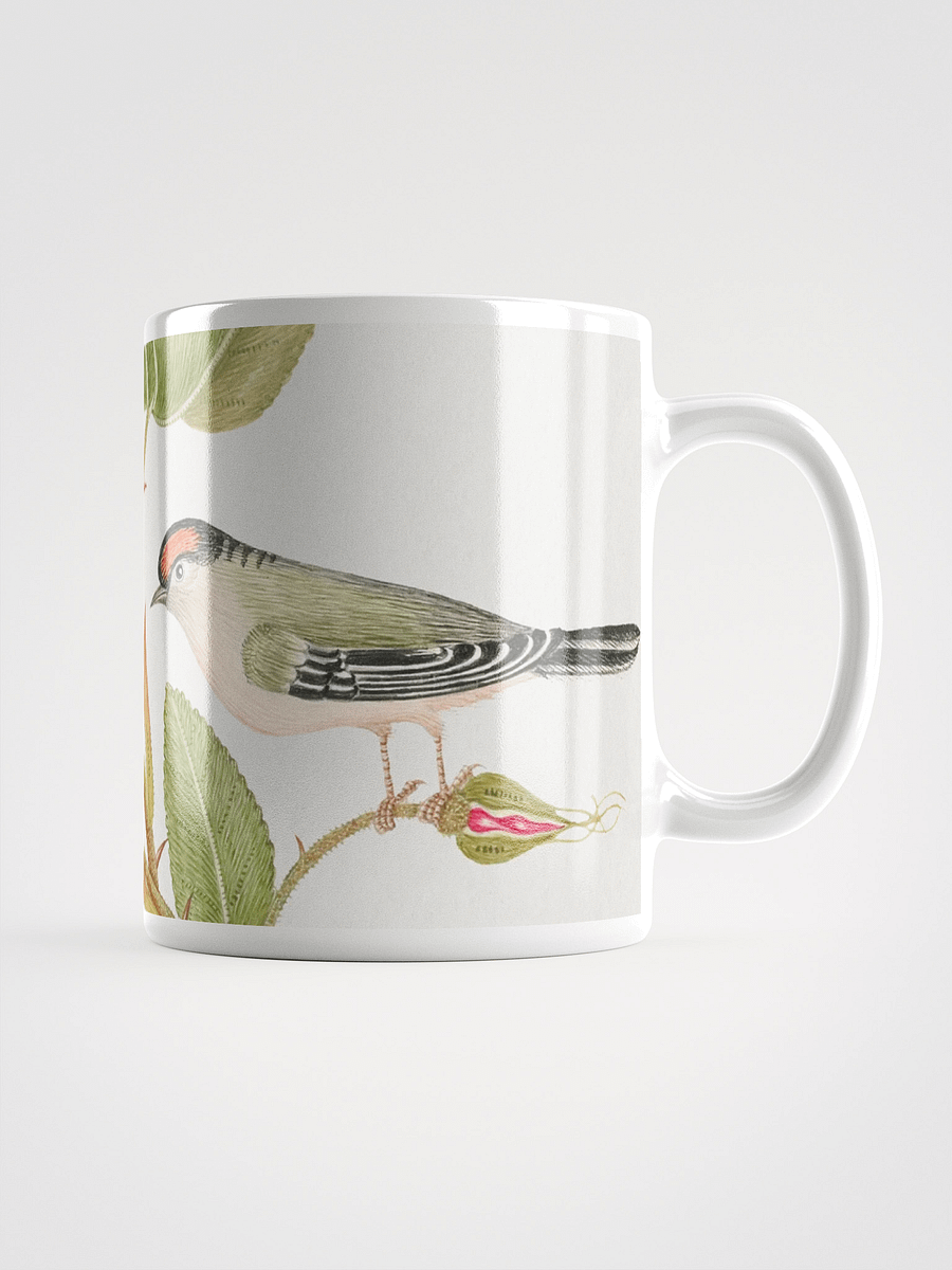 Rose Garden Serenade Mug product image (1)