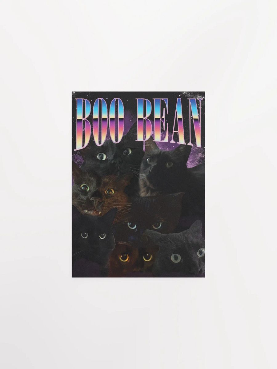Many Faces of Boo - Poster Edition product image (1)