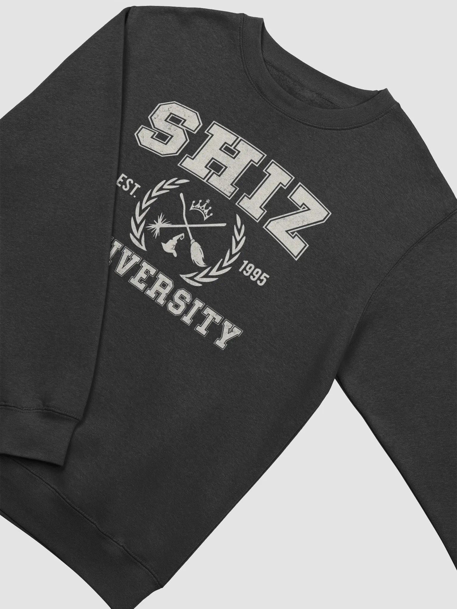Shiz University Sweatshirt, Wickeds Shirt, Wizard Shiz Uni Shirt, Musical Movie Shirt, Movie Shirt, Defy Gravity Broomstick Magic Wand Shirt product image (14)