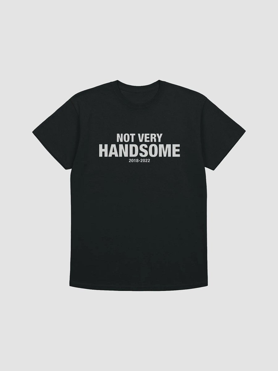 Not Very Handsome Shirt product image (5)