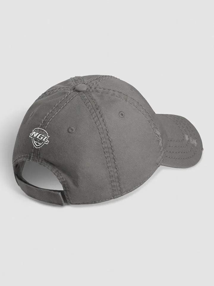 Cleveland Gladiators Distressed Dad Hat product image (2)