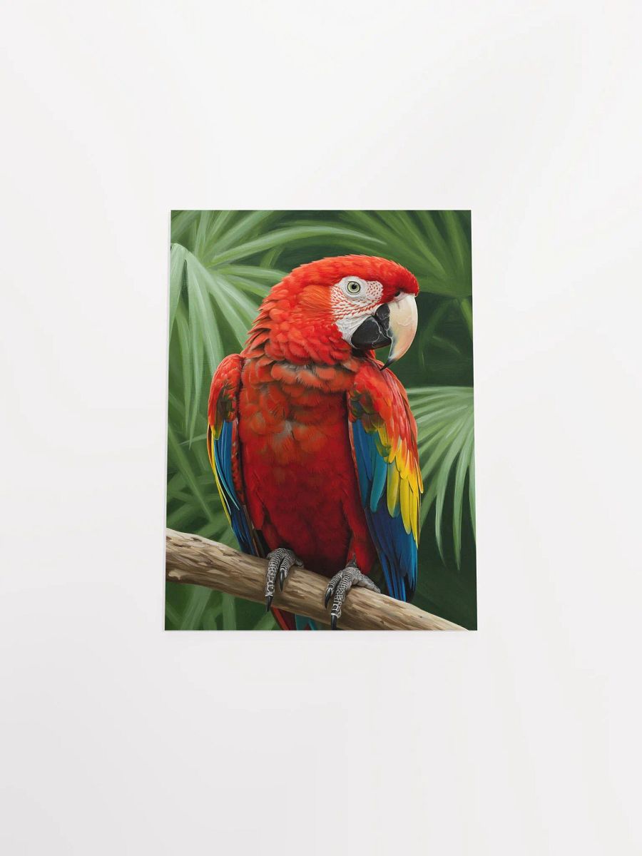 Scarlet Macaw: The Regal Sentinel Poster product image (38)