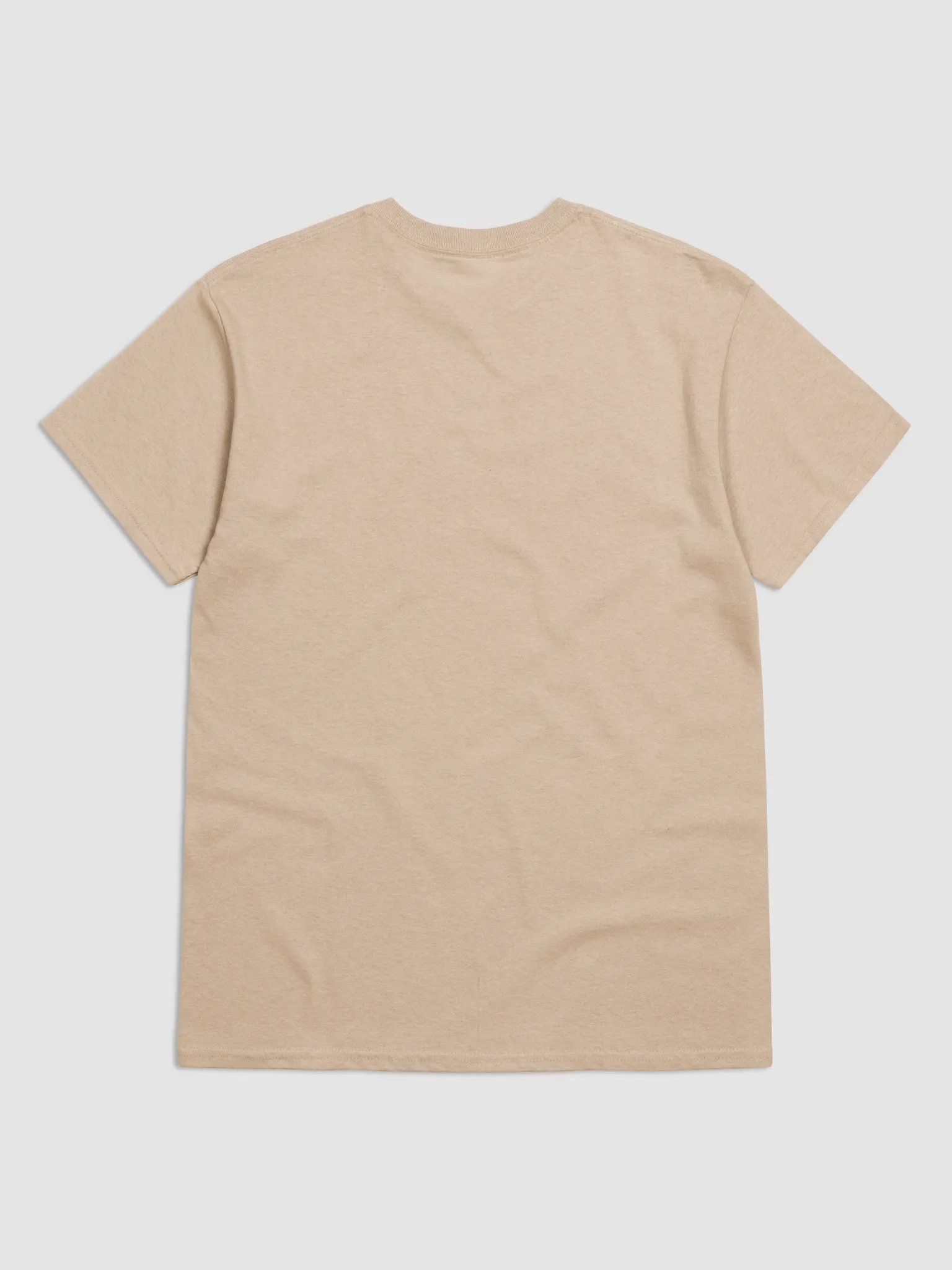 No fake news T-Shirt product image (10)