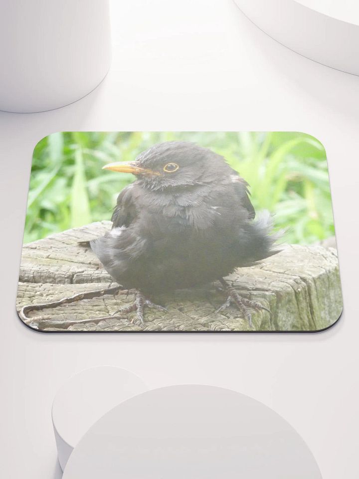 Classic Mouse Pad - The common blackbird #2 product image (1)