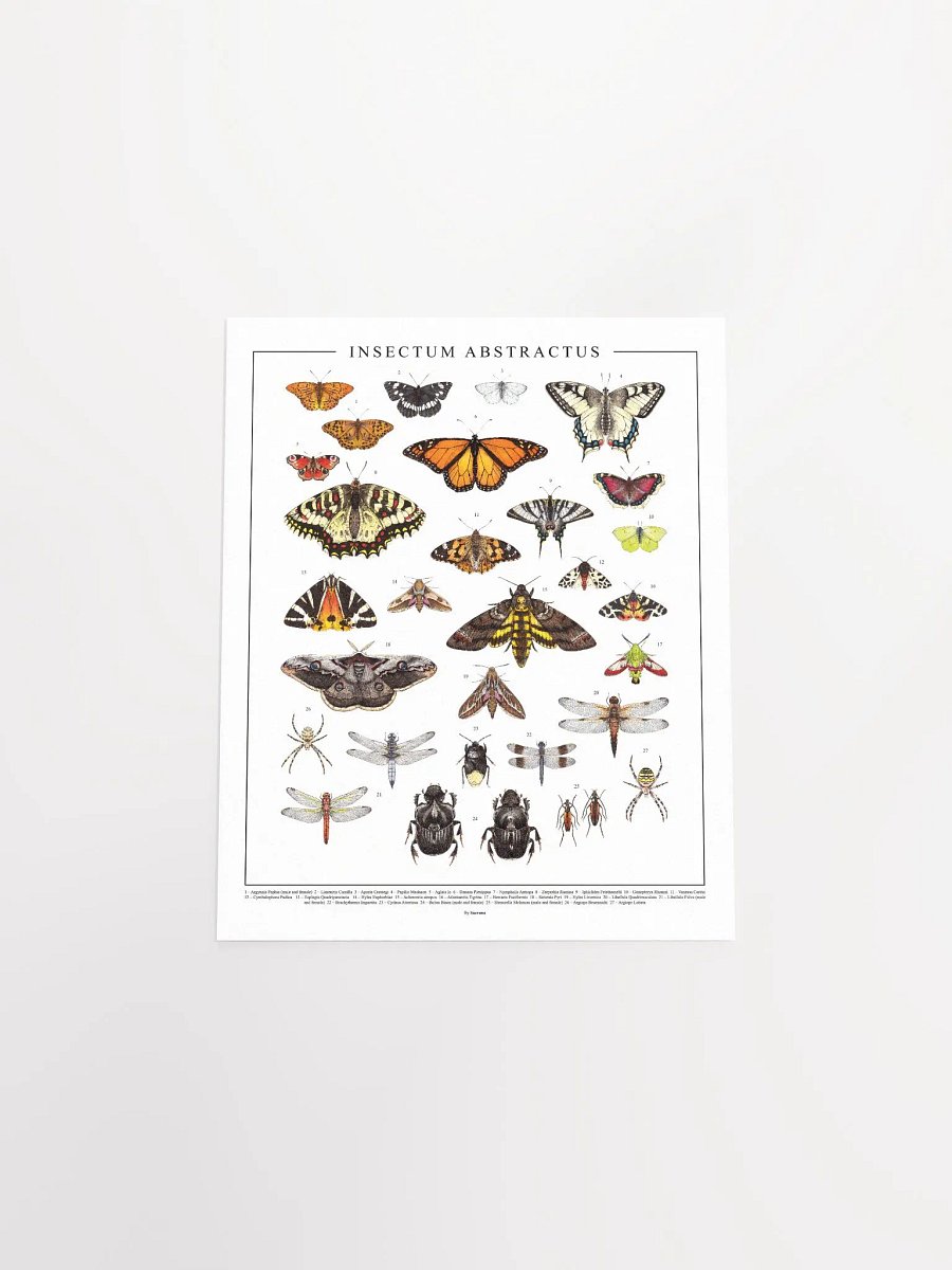 INSECTUM ABSTRACTUS - Print product image (4)