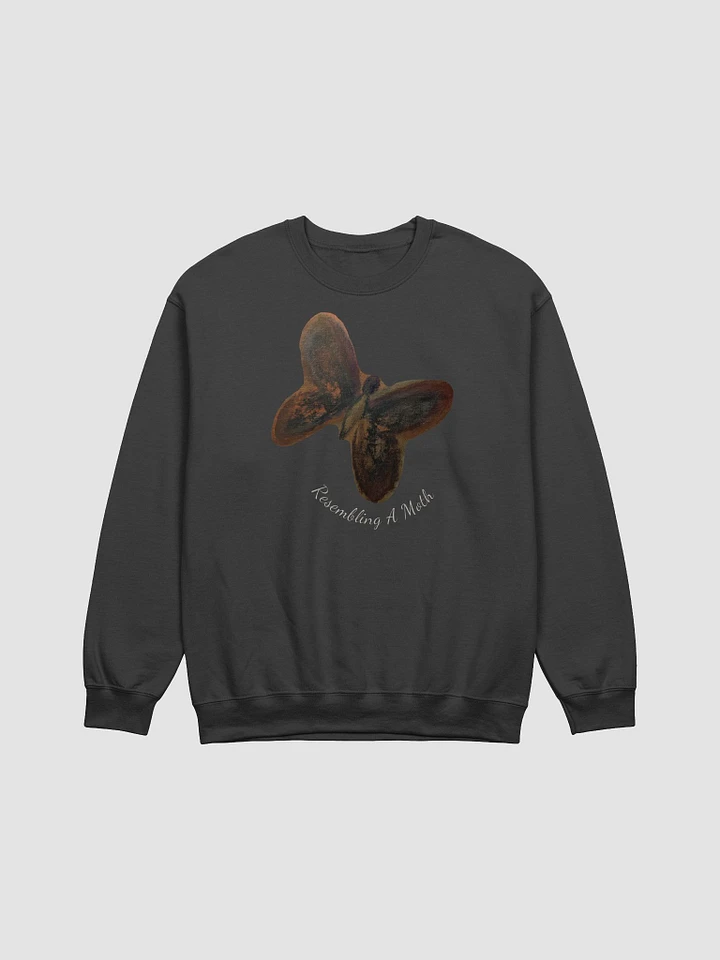 Resembling A Moth Sweatshirt product image (1)