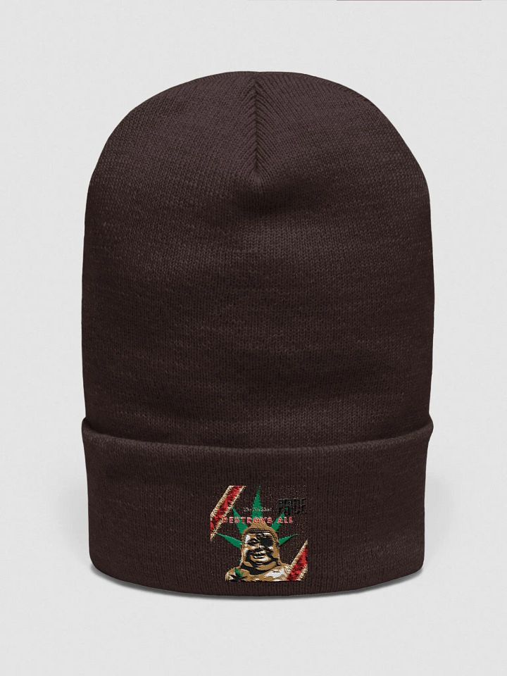 Enlightenment Cuffed Beanie product image (5)